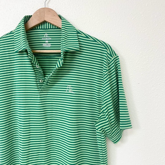 Rhoback Shirts Mens Rhoback Green Striped Branded Performance Golf